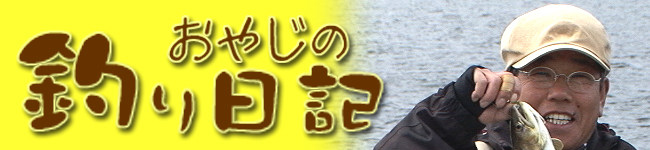 ���䤸���������